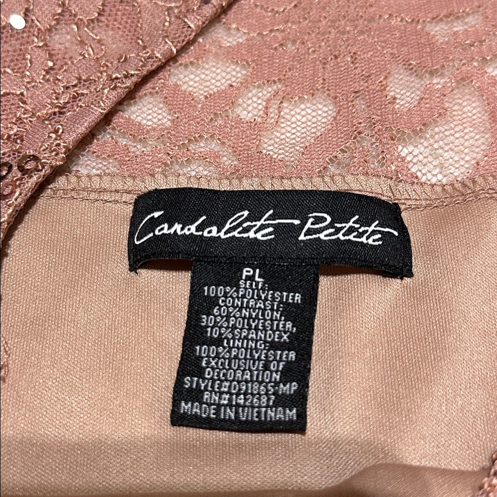 Candalite Petite | size PLarge | champagne dress - Picture 8 of 8